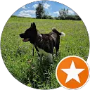 Andreas Ritter profile picture